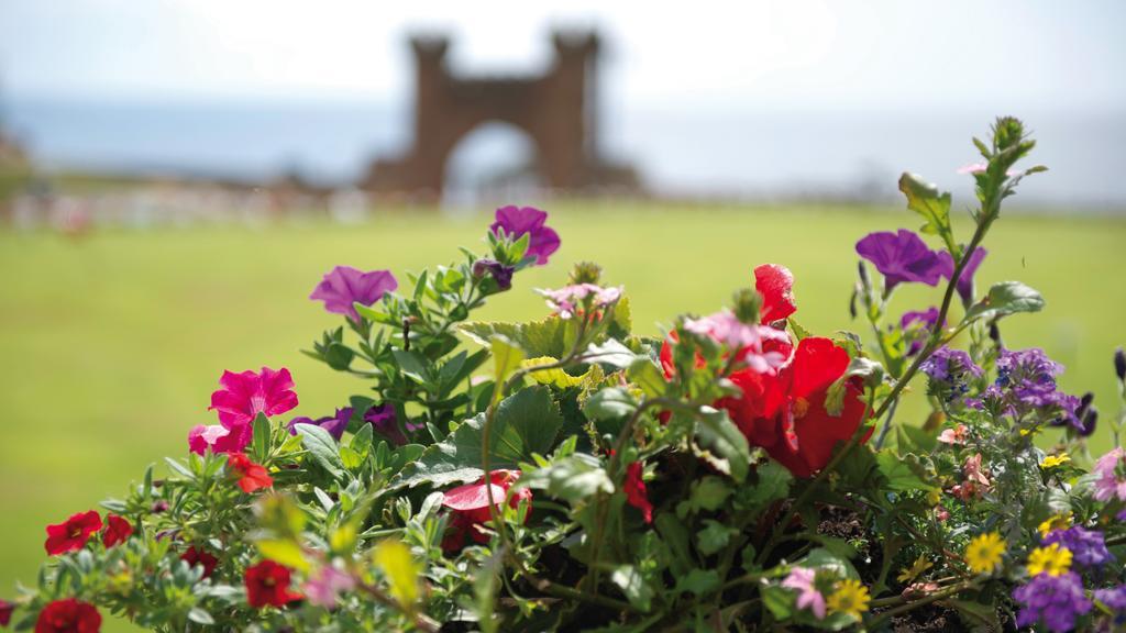 The Belmont Hotel - Adults Only Sidmouth Exteriér fotografie